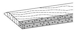 foam edged wood weather stripping