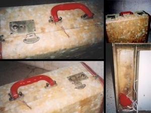 Mold growing on suitcase