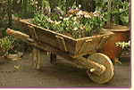wheelbarrow planter