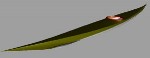 Igdlorssuit Kayak