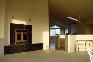 before fireplace remodel and home renovation