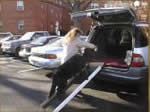 Heavy weight dog ramp