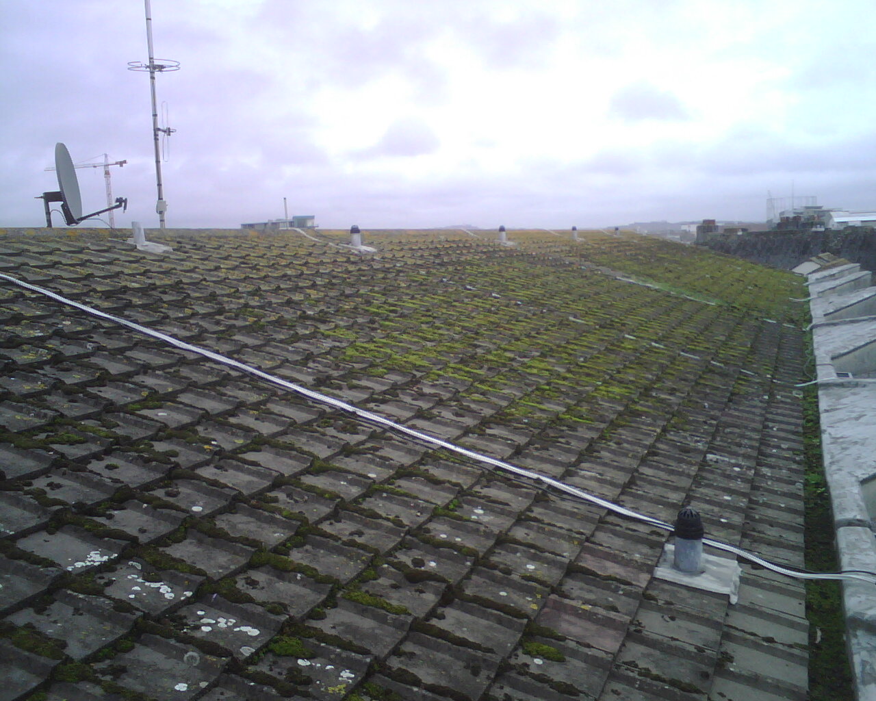 Image of the actual installation of a copper bar for moss control on a roof.