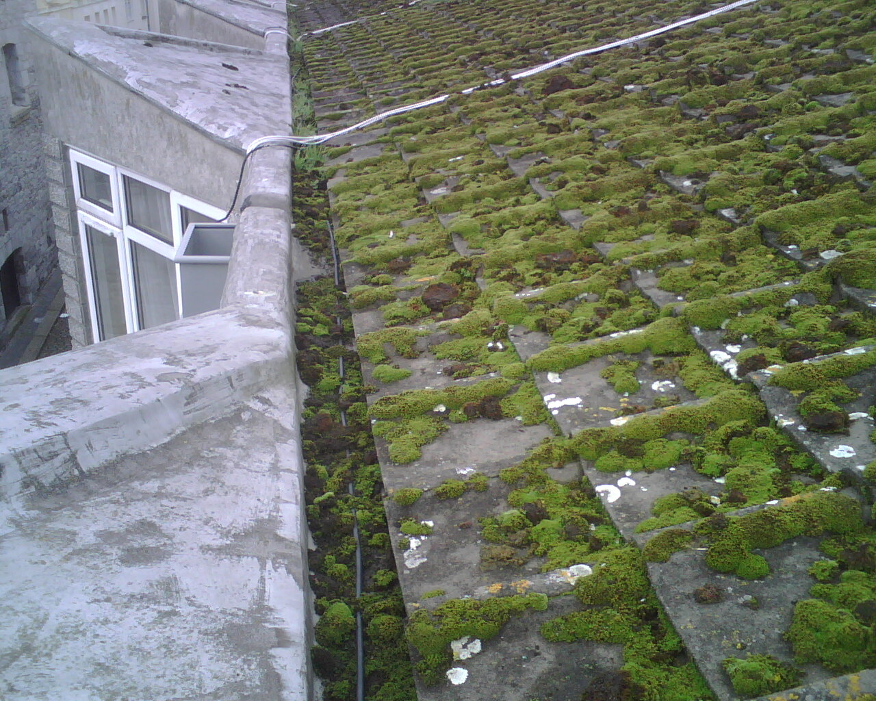 Image of the actual installation of a copper bar for moss control on a roof.