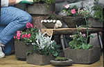 stone flower planters