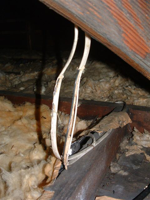 wires eaten by squirrel