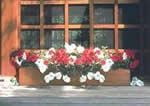 cedar window planter