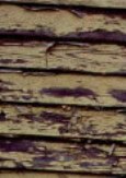 Paint flaking off wood siding